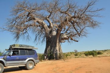 Tanzania (Ruaha National Park)